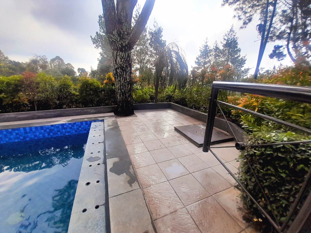 Villa Phoenix - Image 4